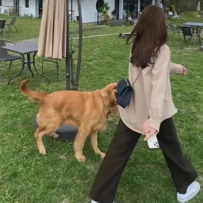 小不点